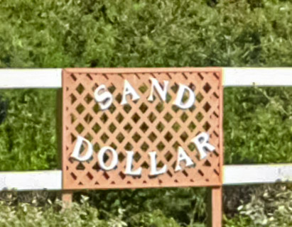 Sand Dollar Condos